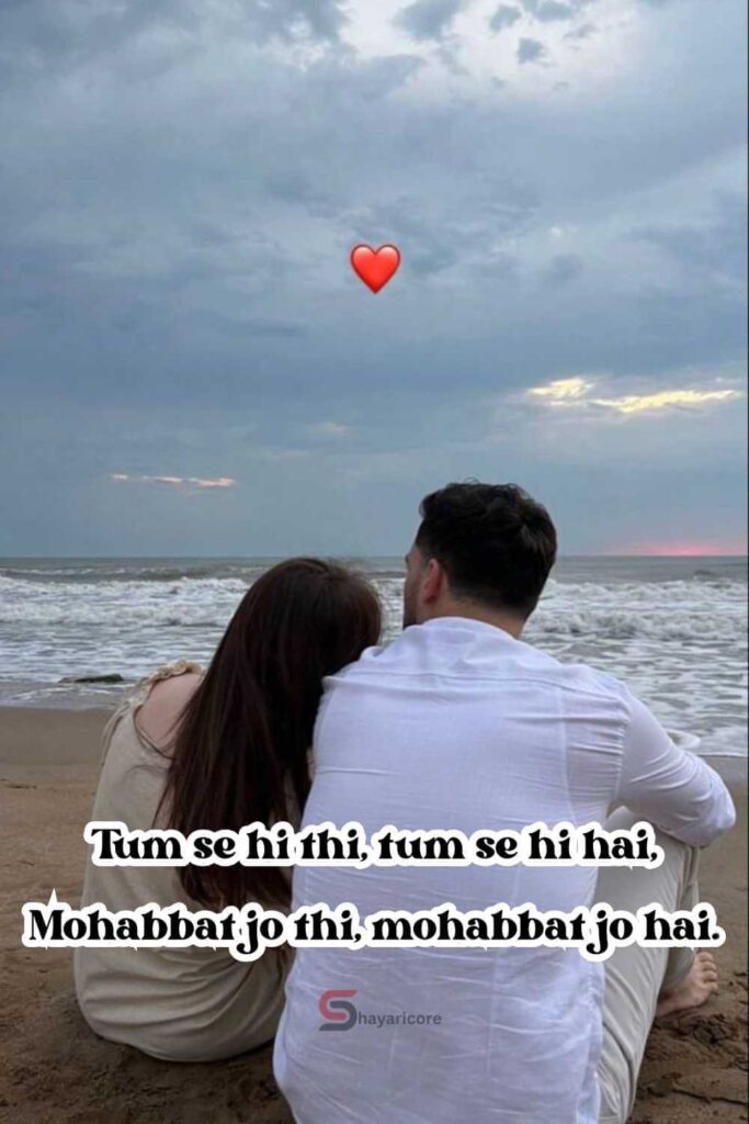 17 Love Shayari in Roman English