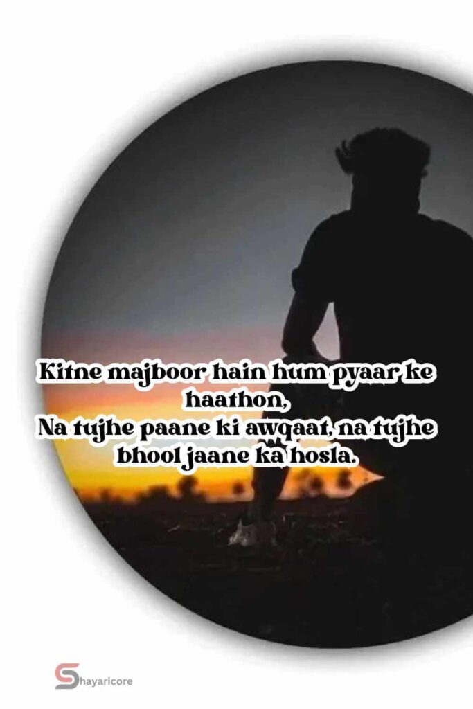 15 Sad Shayari in Roman English