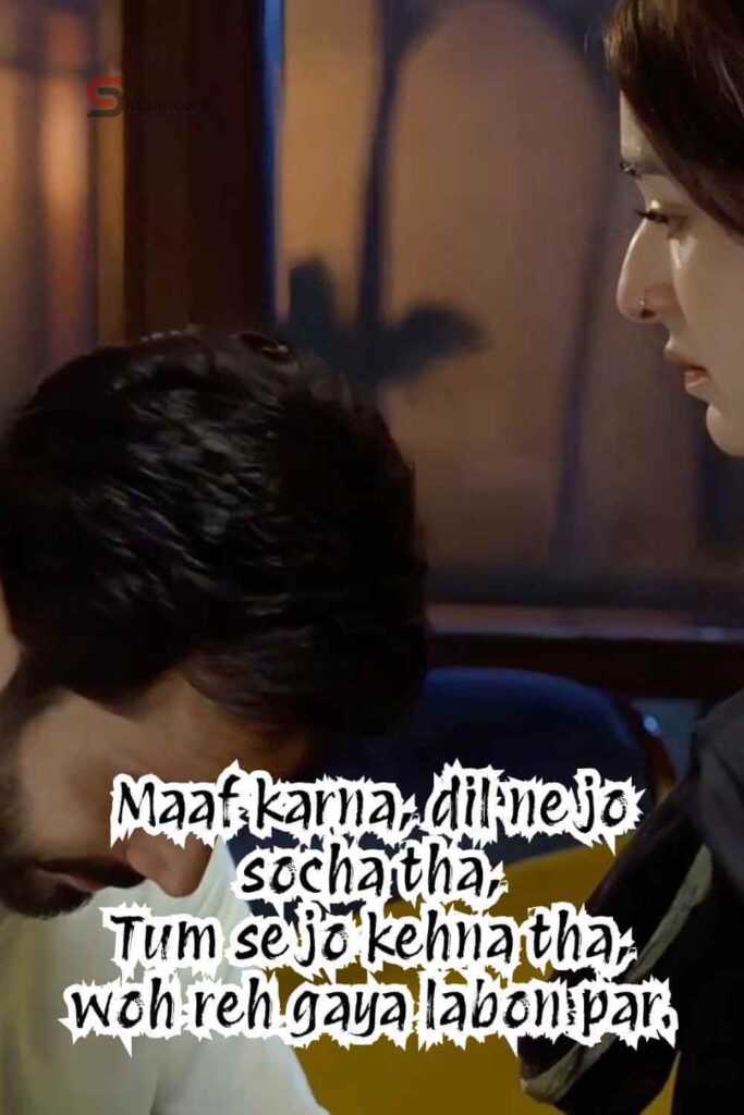 Sorry Sad Shayari in English