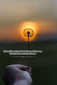 130+ Best Life Shayari In English - 2 Line Life Shayari for All