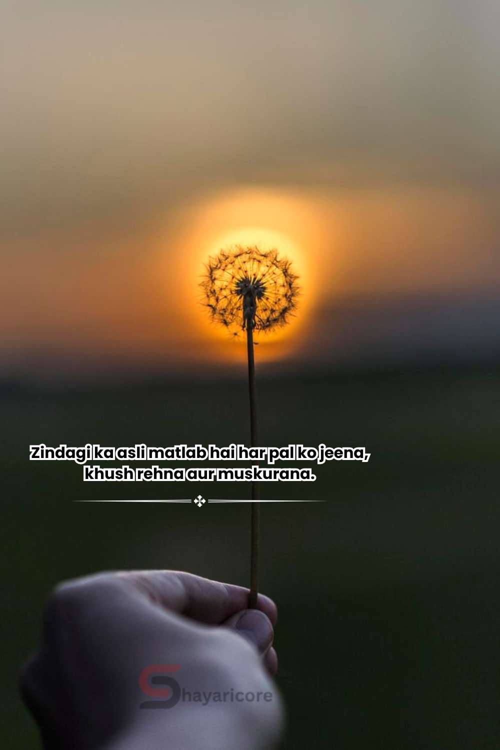 130+ Best Life Shayari In English - 2 Line Life Shayari for All