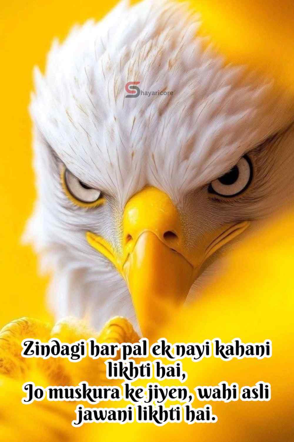 140+ Best Motivational Shayari In English to Inspire Your Day