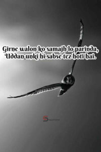 140+ Best Motivational Shayari In English to Inspire Your Day