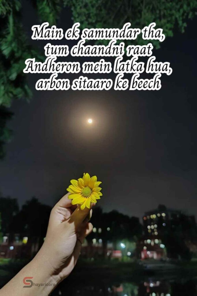 130+ Moon Shayari In English - Chand Shayari and Moon Quotes
