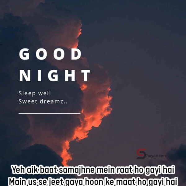 120+ Beautiful Heart Touching Good Night Shayari in English